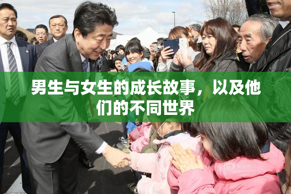 男生与女生的成长故事，以及他们的不同世界