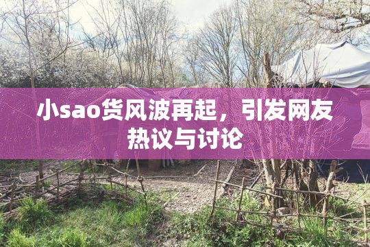 小sao货风波再起，引发网友热议与讨论