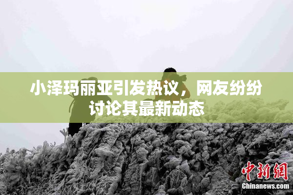 小泽玛丽亚引发热议，网友纷纷讨论其最新动态