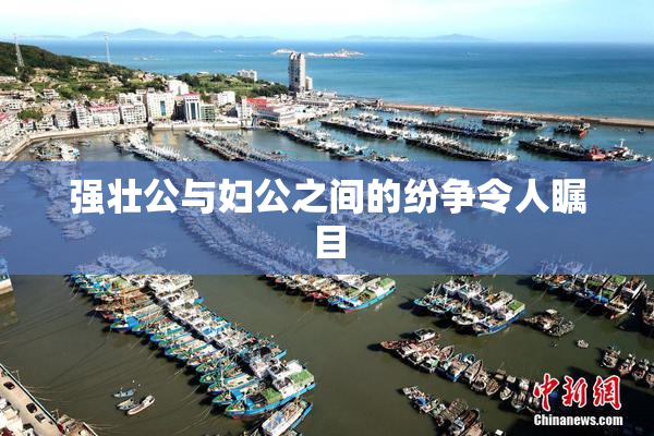 强壮公与妇公之间的纷争令人瞩目