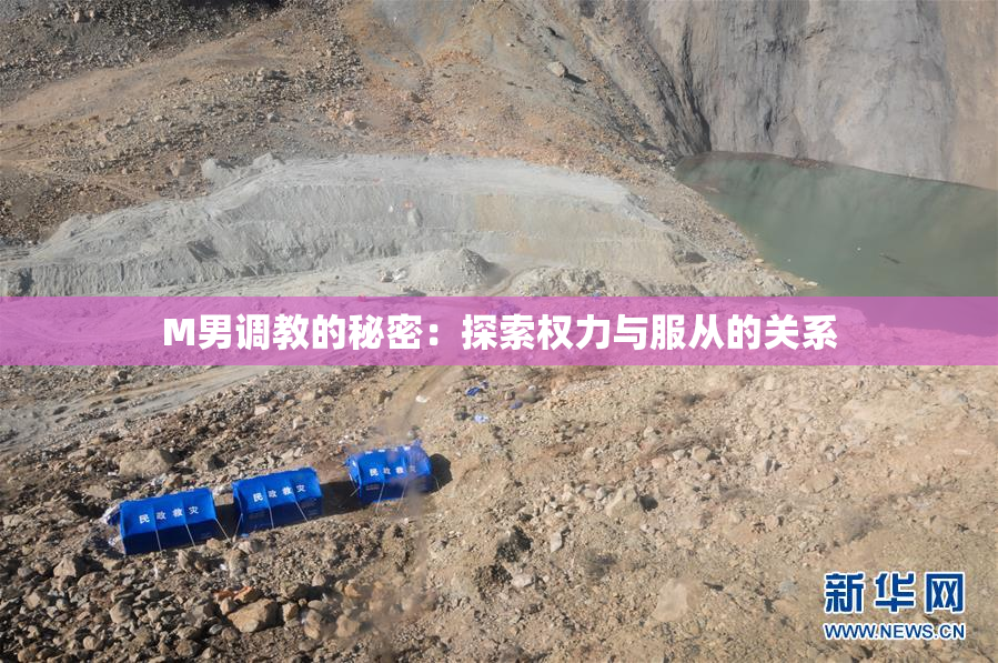 M男调教的秘密：探索权力与服从的关系