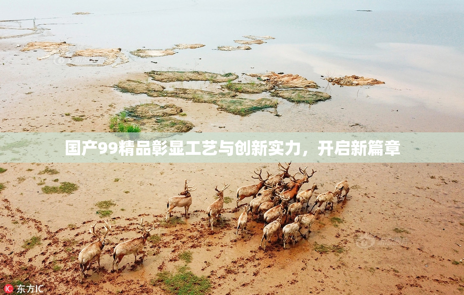 国产99精品彰显工艺与创新实力，开启新篇章