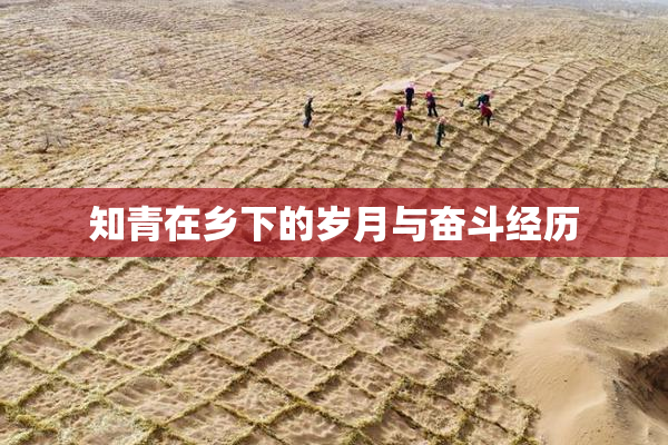 知青在乡下的岁月与奋斗经历