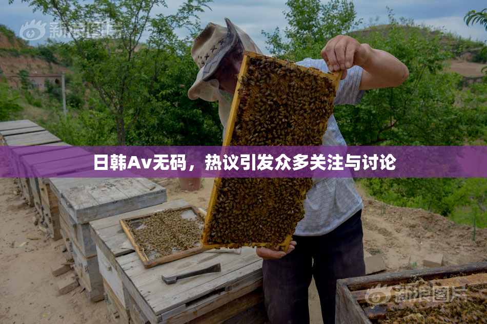 日韩Av无码，热议引发众多关注与讨论