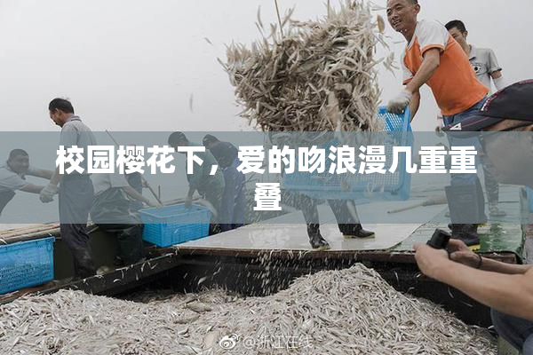 校园樱花下，爱的吻浪漫几重重叠