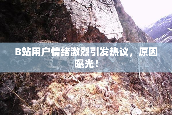 B站用户情绪激烈引发热议，原因曝光！