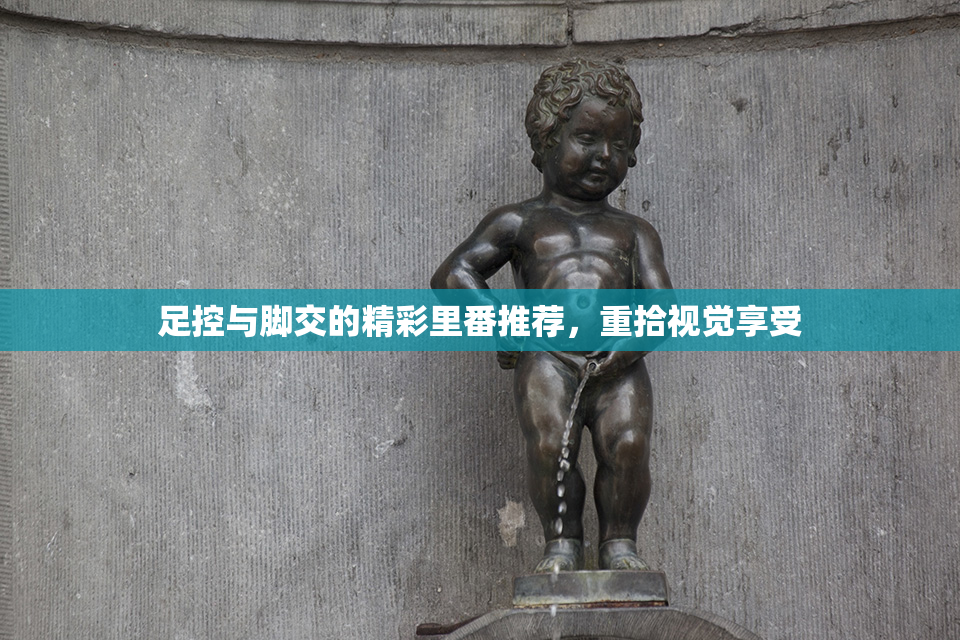 足控与脚交的精彩里番推荐，重拾视觉享受