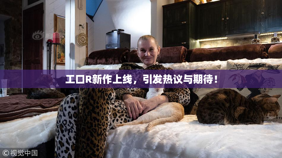 工口R新作上线，引发热议与期待！