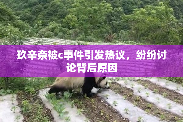 玖辛奈被c事件引发热议，纷纷讨论背后原因