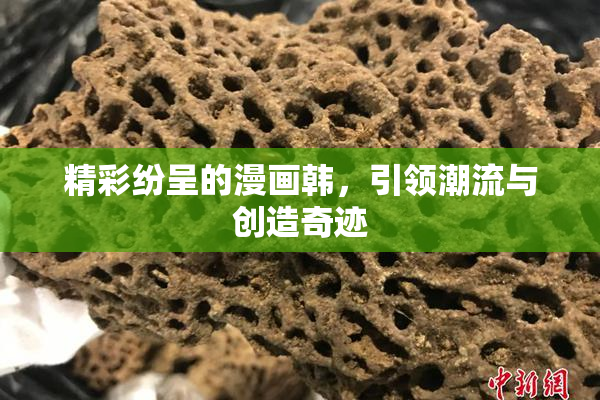 精彩纷呈的漫画韩，引领潮流与创造奇迹