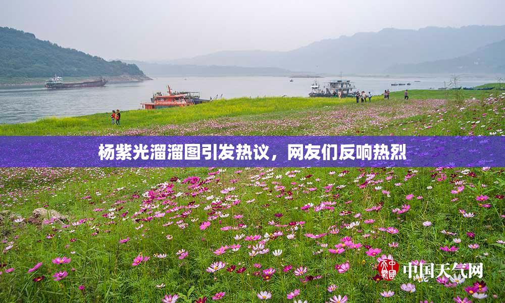 杨紫光溜溜图引发热议，网友们反响热烈