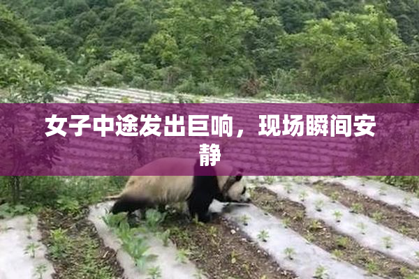 女子中途发出巨响，现场瞬间安静