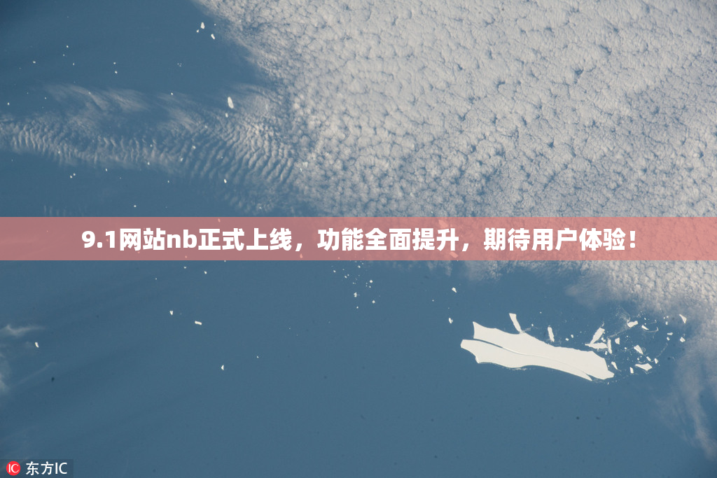 9.1网站nb正式上线，功能全面提升，期待用户体验！
