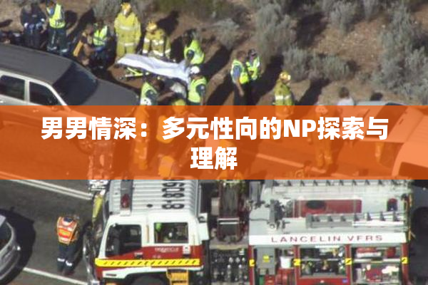 男男情深：多元性向的NP探索与理解