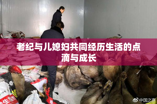 老纪与儿媳妇共同经历生活的点滴与成长