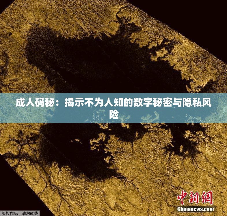 成人码秘：揭示不为人知的数字秘密与隐私风险