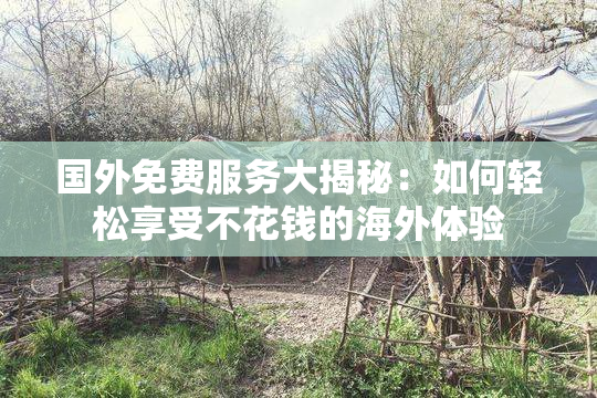 国外免费服务大揭秘：如何轻松享受不花钱的海外体验