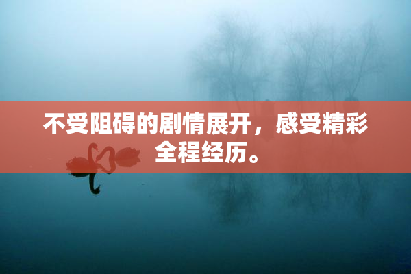 不受阻碍的剧情展开，感受精彩全程经历。