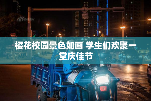 樱花校园景色如画 学生们欢聚一堂庆佳节