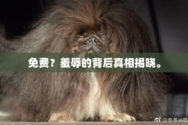 免费？羞辱的背后真相揭晓。