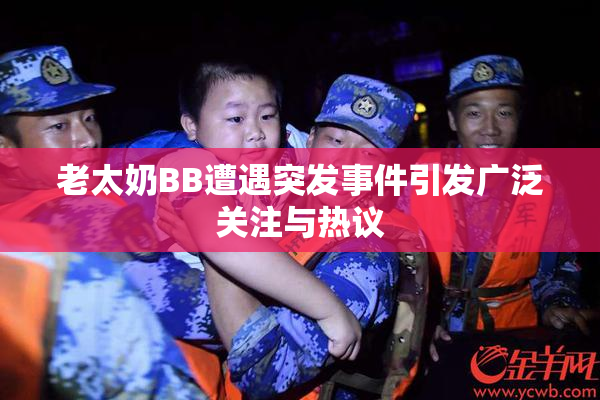 老太奶BB遭遇突发事件引发广泛关注与热议