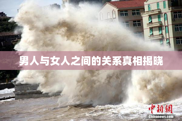 男人与女人之间的关系真相揭晓