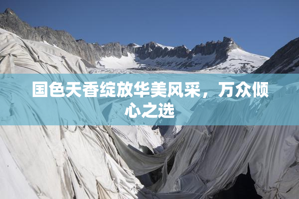 国色天香绽放华美风采，万众倾心之选