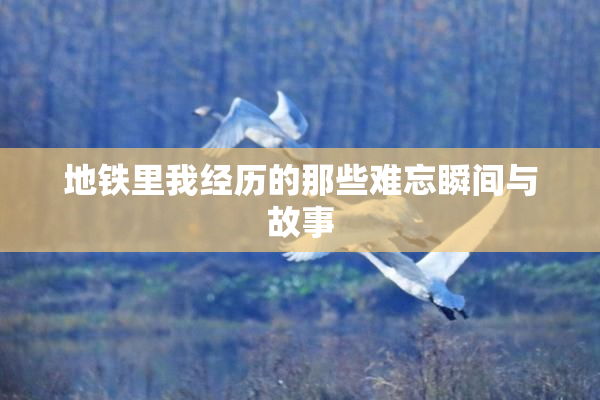 地铁里我经历的那些难忘瞬间与故事