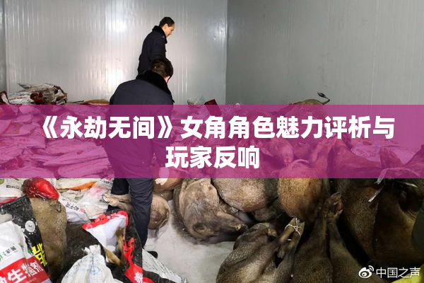 《永劫无间》女角角色魅力评析与玩家反响