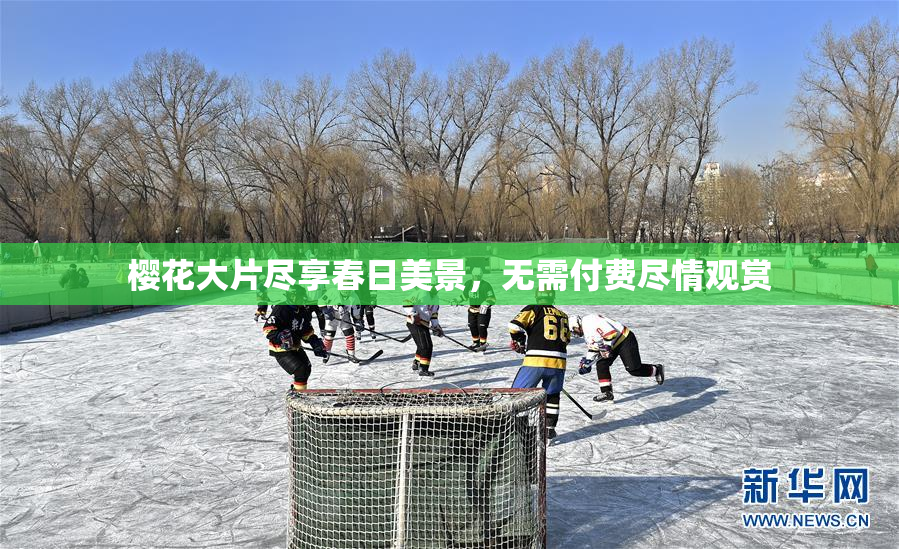 樱花大片尽享春日美景，无需付费尽情观赏