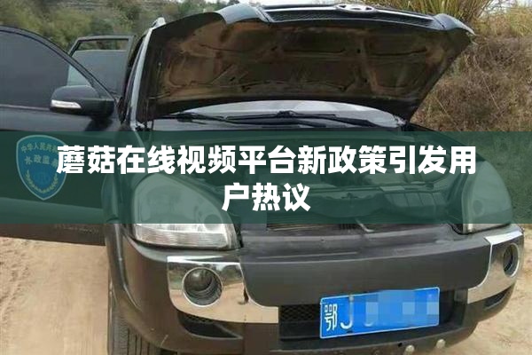 蘑菇在线视频平台新政策引发用户热议