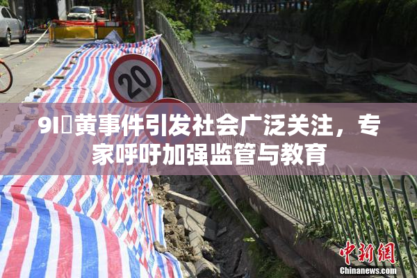 9I婬黄事件引发社会广泛关注，专家呼吁加强监管与教育