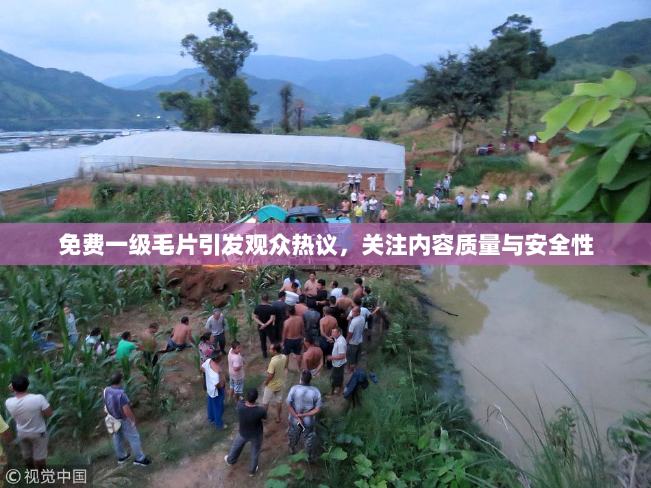 免费一级毛片引发观众热议，关注内容质量与安全性