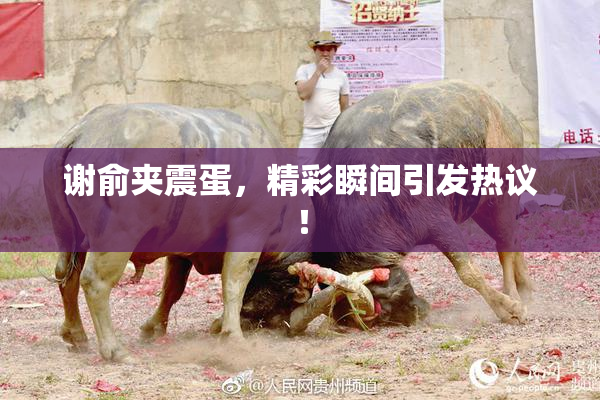 谢俞夹震蛋，精彩瞬间引发热议！