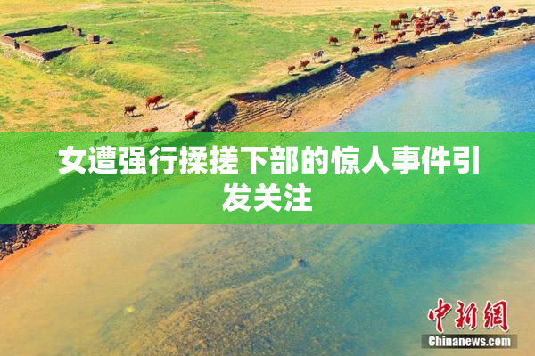女遭强行揉搓下部的惊人事件引发关注