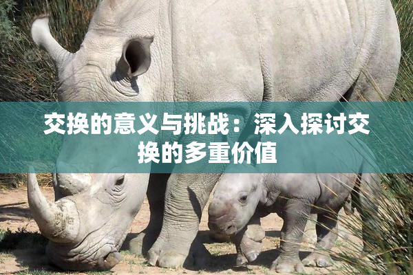 交换的意义与挑战：深入探讨交换的多重价值