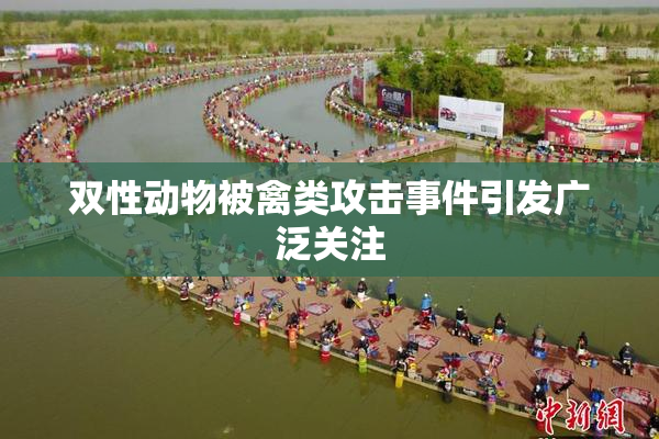 双性动物被禽类攻击事件引发广泛关注