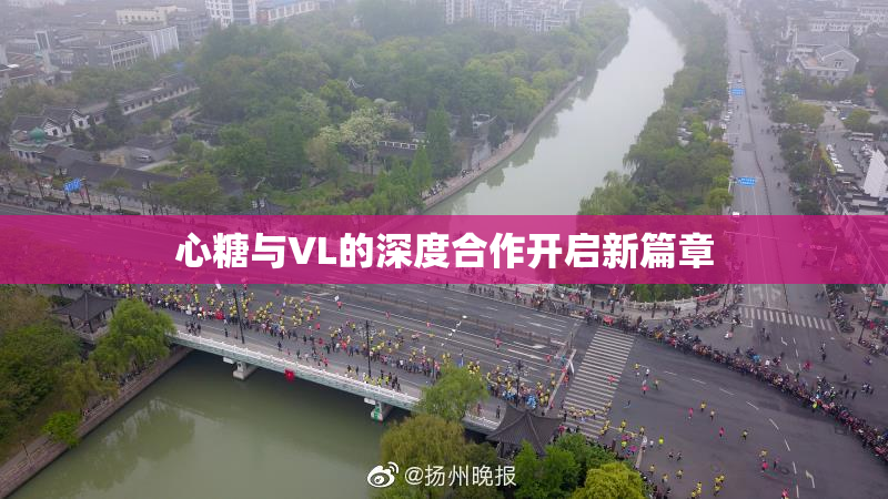 心糖与VL的深度合作开启新篇章