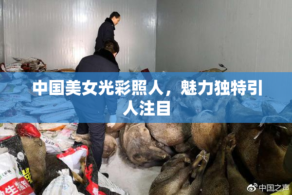 中国美女光彩照人，魅力独特引人注目
