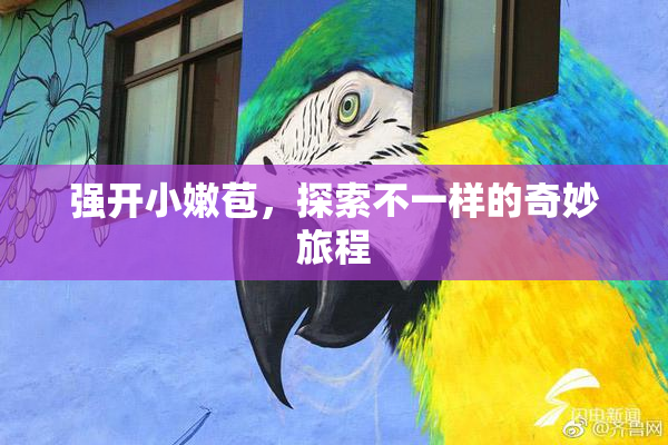 强开小嫩苞，探索不一样的奇妙旅程