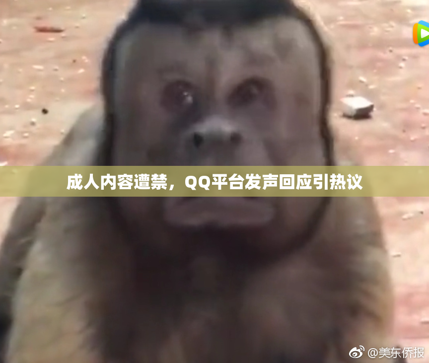 成人内容遭禁，QQ平台发声回应引热议