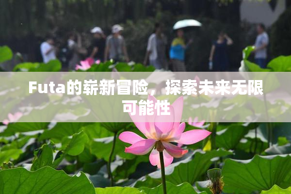Futa的崭新冒险，探索未来无限可能性