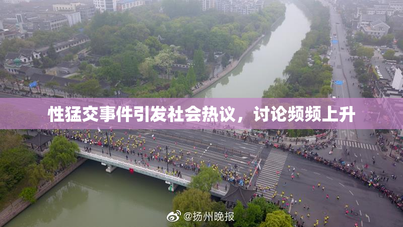 性猛交事件引发社会热议，讨论频频上升