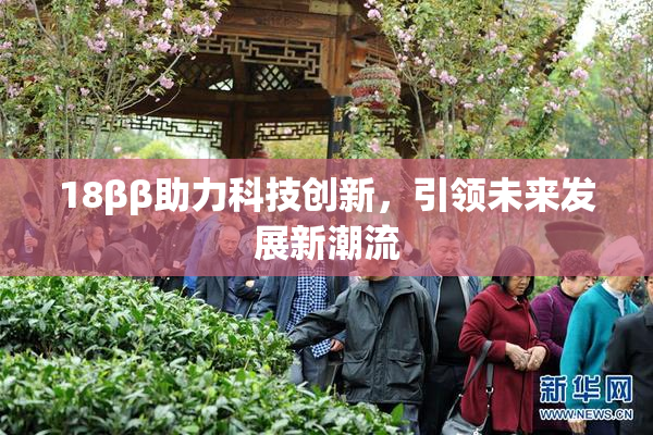 18ββ助力科技创新，引领未来发展新潮流