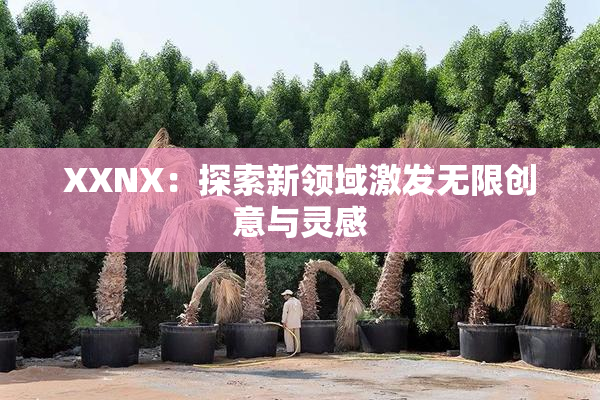 XXNX：探索新领域激发无限创意与灵感