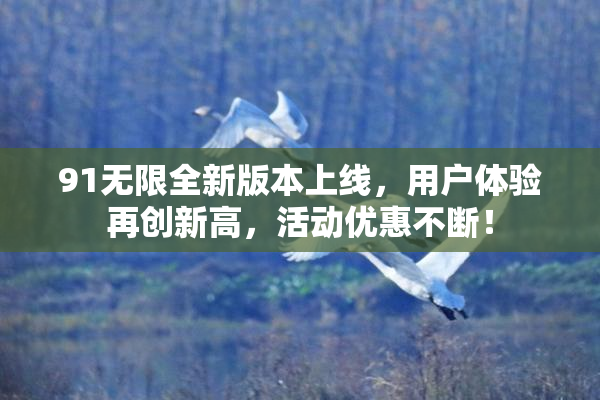 91无限全新版本上线，用户体验再创新高，活动优惠不断！