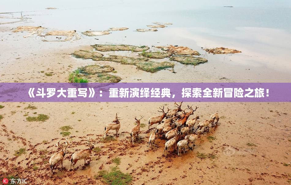 《斗罗大重写》：重新演绎经典，探索全新冒险之旅！