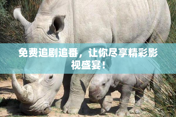 免费追剧追番，让你尽享精彩影视盛宴！