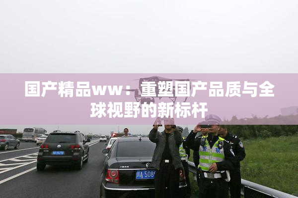 国产精品ww：重塑国产品质与全球视野的新标杆
