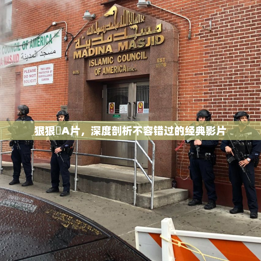 狠狠穞A片，深度剖析不容错过的经典影片